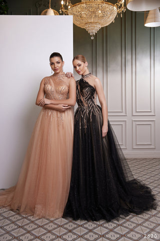 2620 Tulle Gown - Miss Mirelle