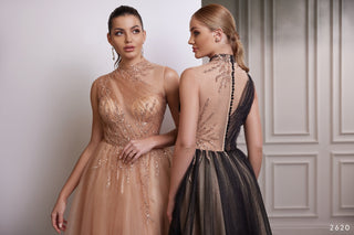 2620 Tulle Gown - Miss Mirelle