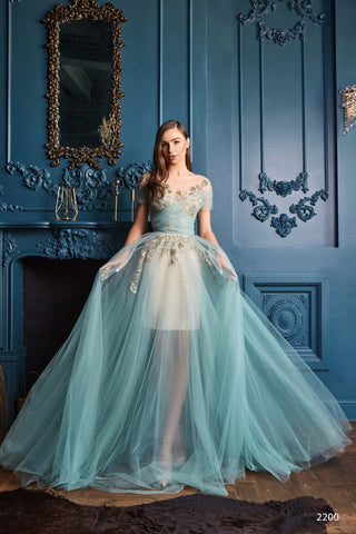 Off Shoulder Tulle Gown with Leaf Motifs - Miss Mirelle