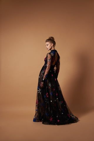 Starry Night * Sheer Black Dress with Sleeves - Miss Mirelle